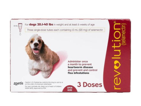 Revolution Red Dog (9.1kg - 18.1kg)