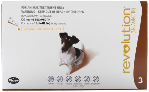 Revolution- Brown Dog (5.1-10kg)