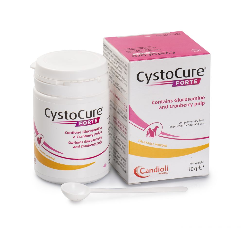 Cystocure Forte Powder | Cystocure Forte Powder Box | Passion Vet